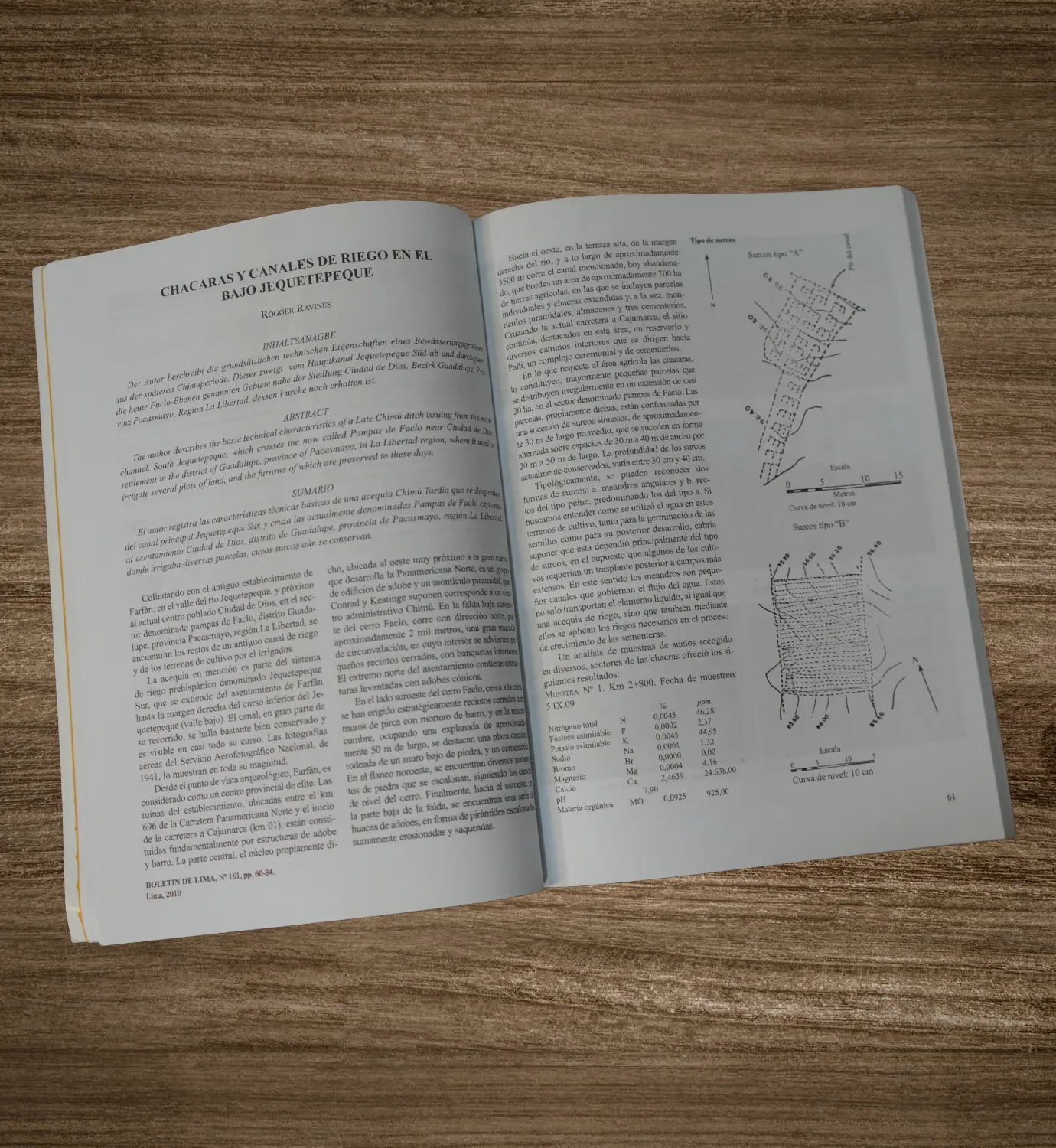 BOLETÍN DE LIMA - Imagen 2