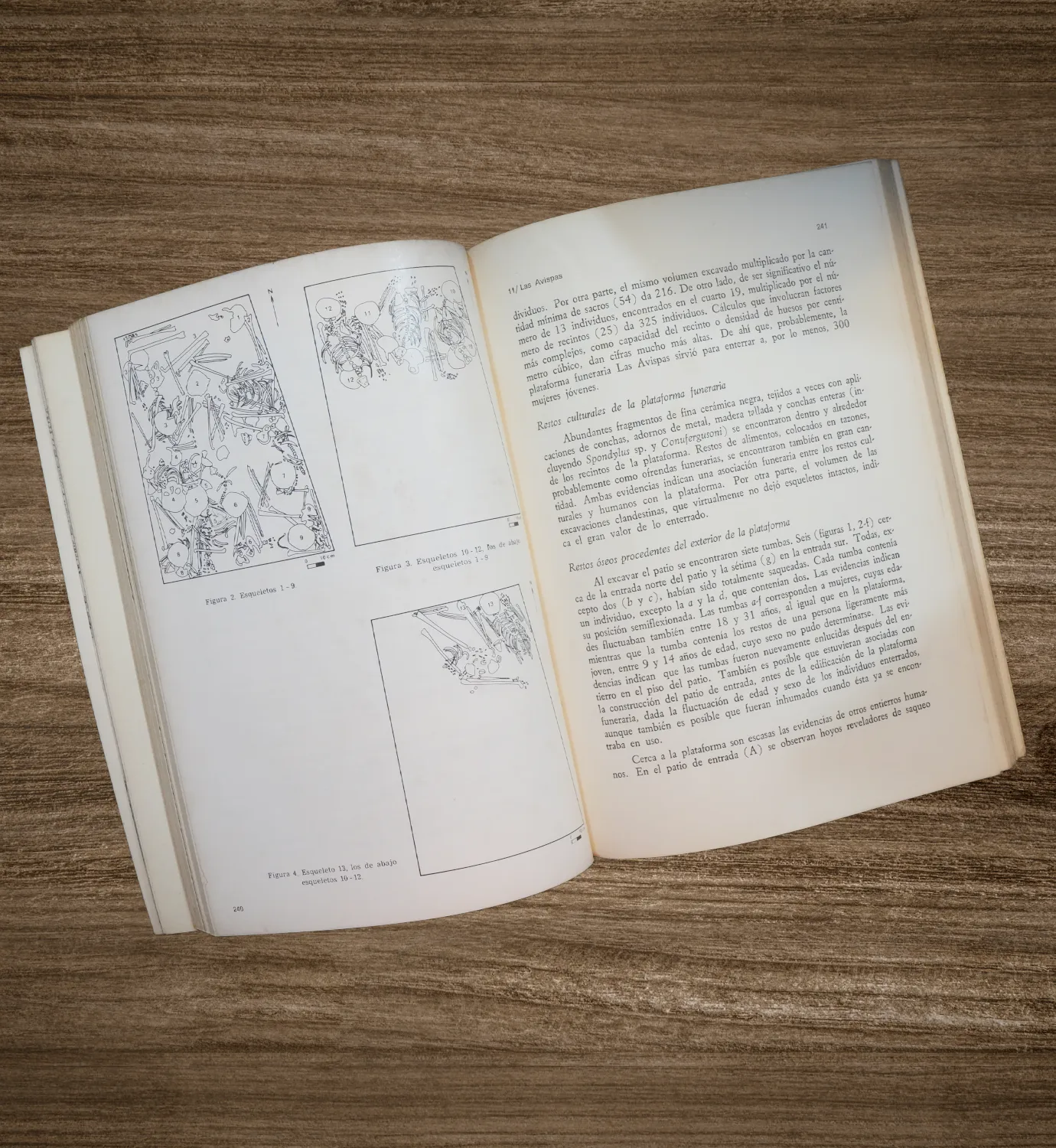 CHANCHAN METRÓPOLI CHIMÚ - Imagen 2