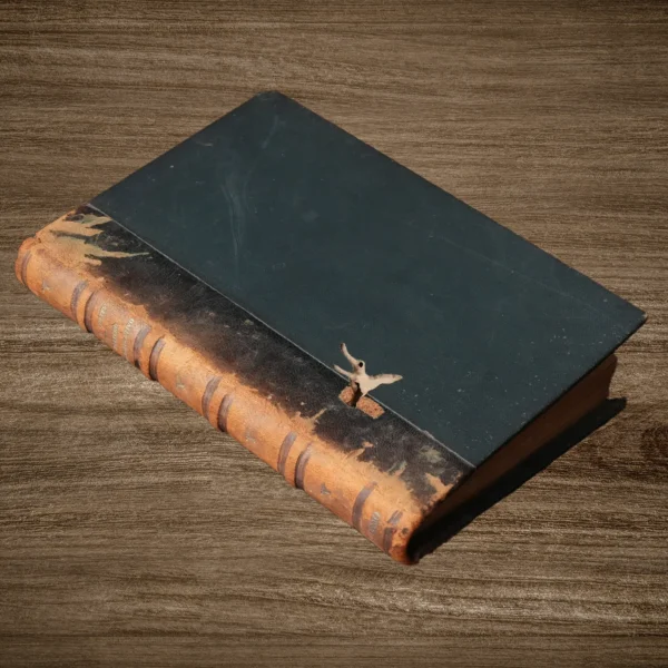 COMPENDIO DEL DERECHO ADMINISTRATIVO - Imagen 3