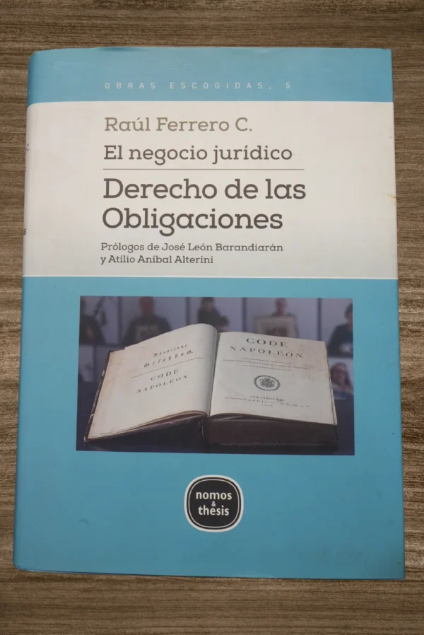 EL NEGOCIO JURÍDICO. DERECHO DE LAS OBLIGACIONES