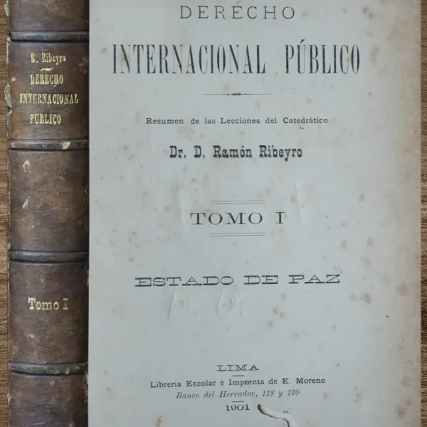 DERECHO INTERNACIONAL PÚBLICO (2 TOMOS)