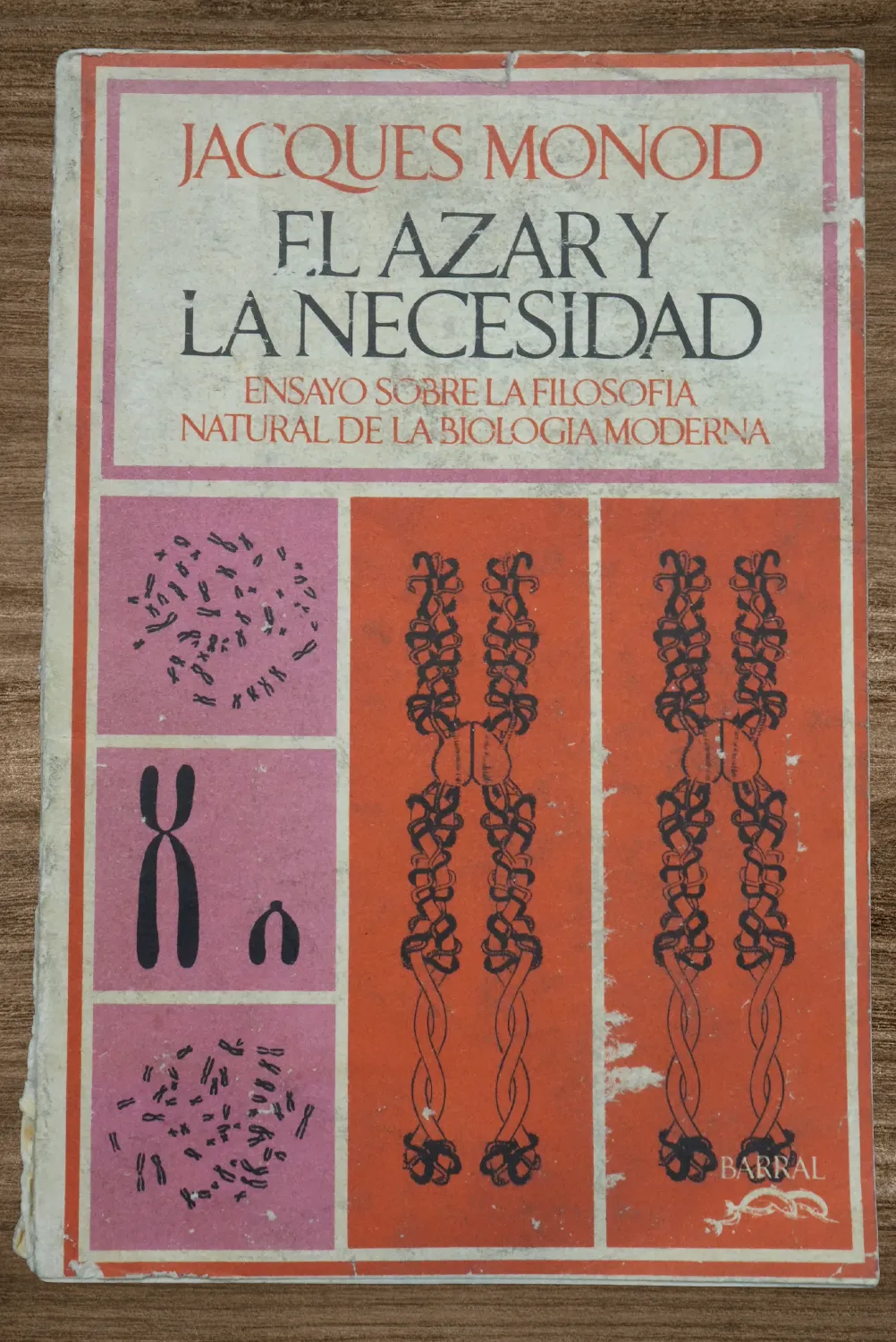 EL AZAR Y LA NECESIDAD