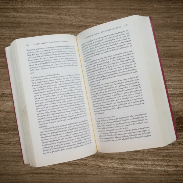EL LIBRO TIBETANO DE LA VIDA Y DE LA MUERTE - Imagen 2