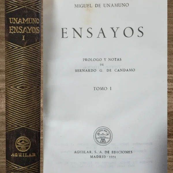 ENSAYOS