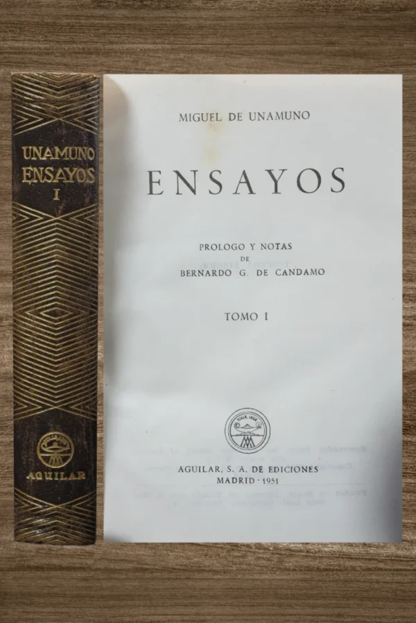 ENSAYOS
