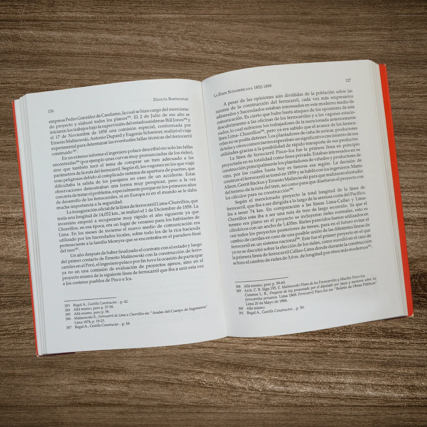 ERNESTO MALINOWSKI 1818-1899: CONSTRUCTOR DEL FERROCARRIL TRASANDINO - Imagen 2