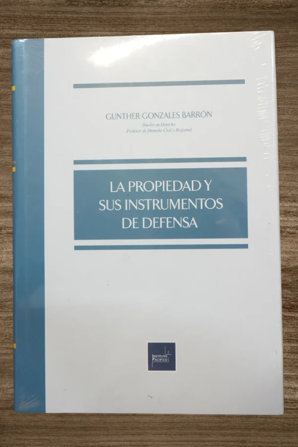 LA PROPIEDAD Y SUS INSTRUMENTOS DE DEFENSA