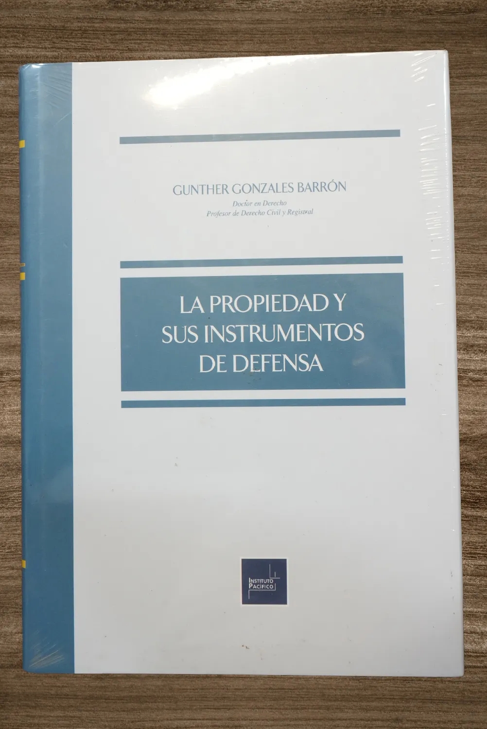 LA PROPIEDAD Y SUS INSTRUMENTOS DE DEFENSA