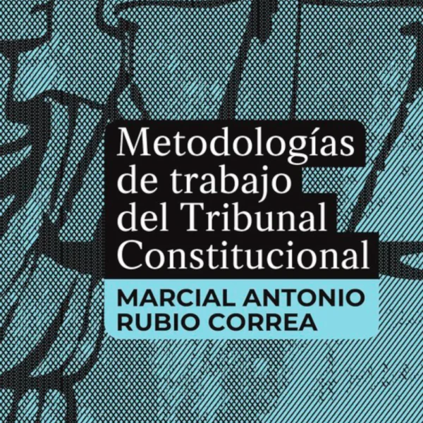 METODOLOGÍAS DE TRABAJO DEL TRIBUNAL CONSTITUCIONAL