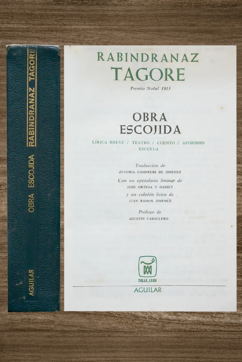 OBRA ESCOJIDA