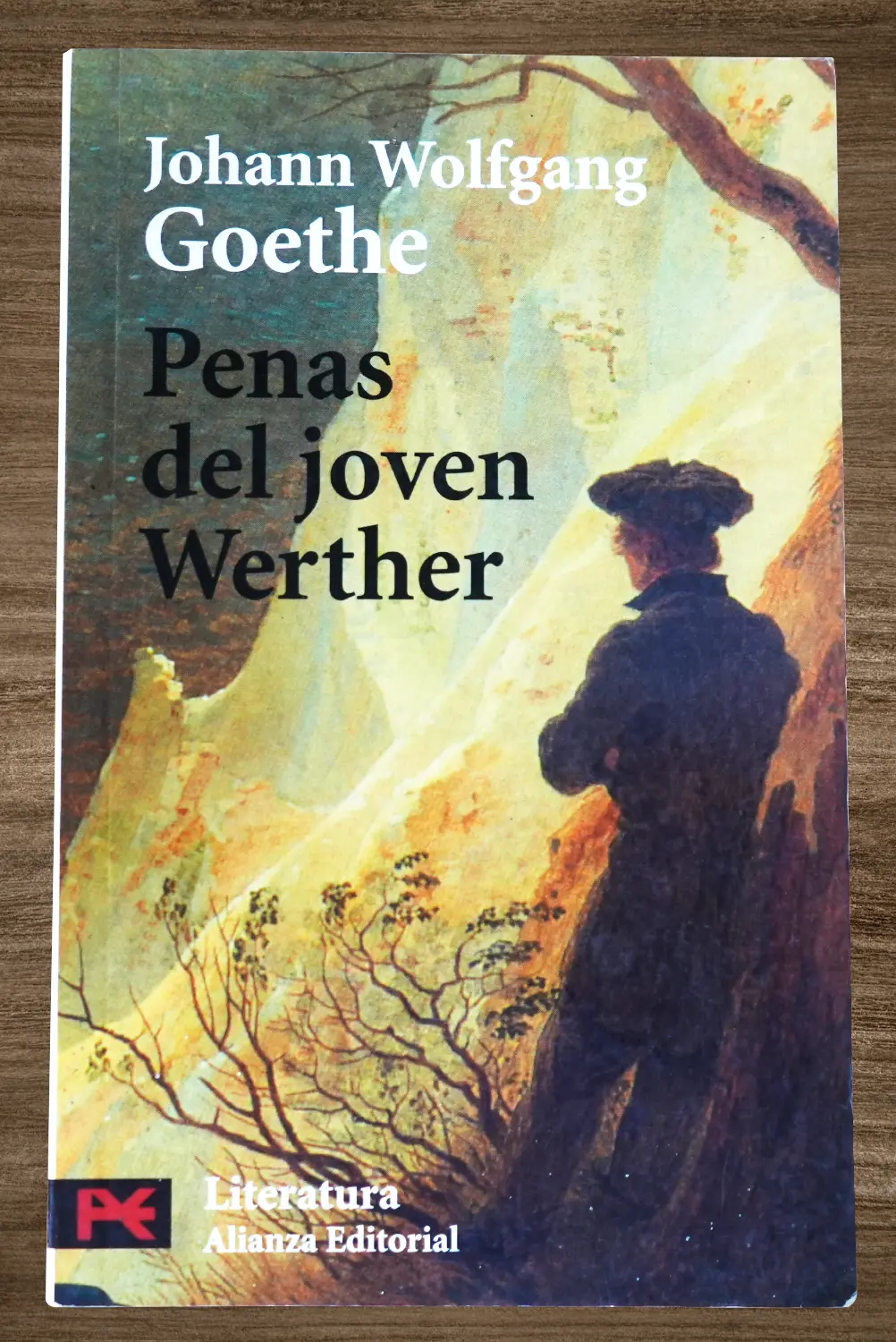 PENAS DEL JOVEN WERTHER