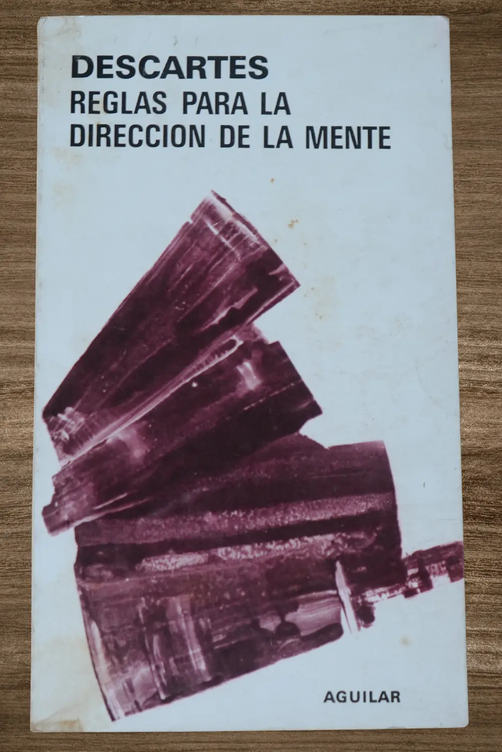 REGLAS PARA LA DIRECCION DE LA MENTE