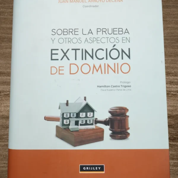 SOBRE LA PRUEBA Y OTROS ASPECTOS EN EXTINCIÓN DE DOMINIO