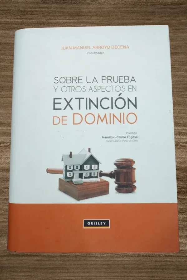 SOBRE LA PRUEBA Y OTROS ASPECTOS EN EXTINCIÓN DE DOMINIO
