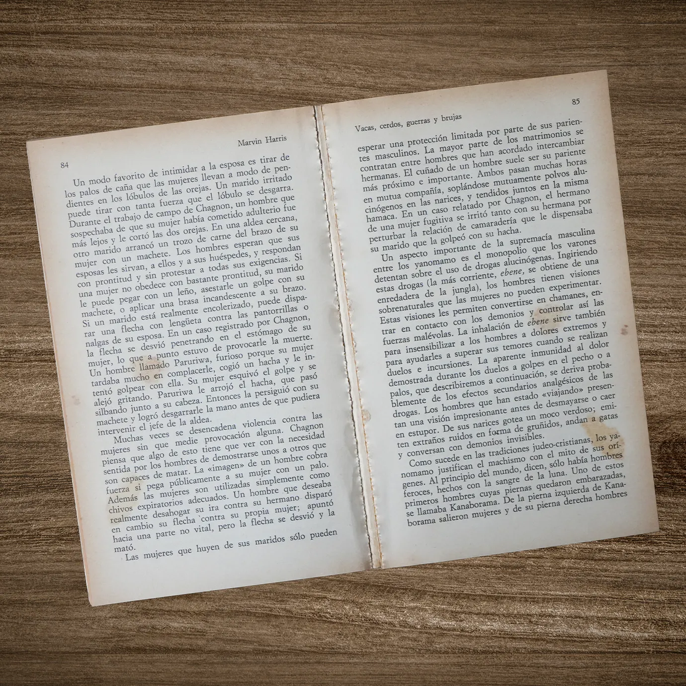 VACAS, CERDOS, GUERRAS Y BRUJAS: LOS ENIGMAS DE LA CULTURA - Imagen 2