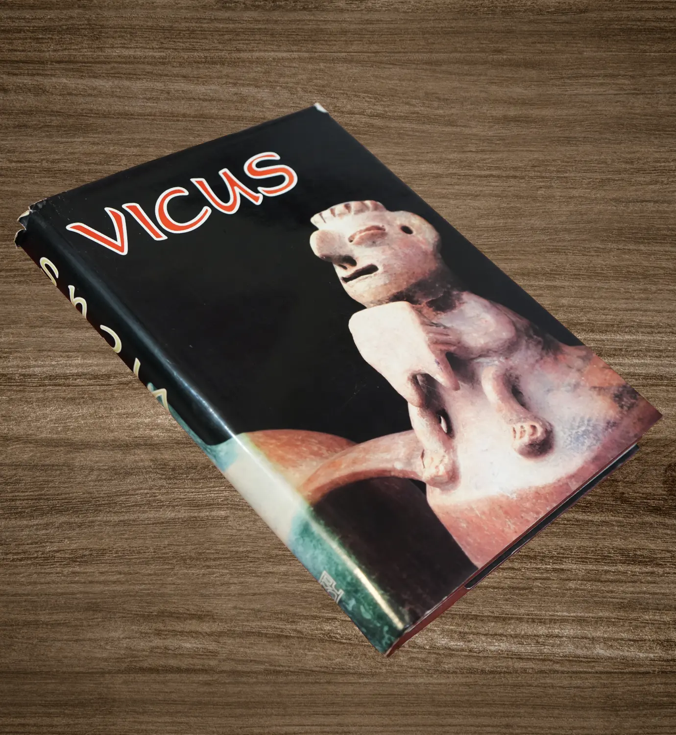VICUS - Imagen 3