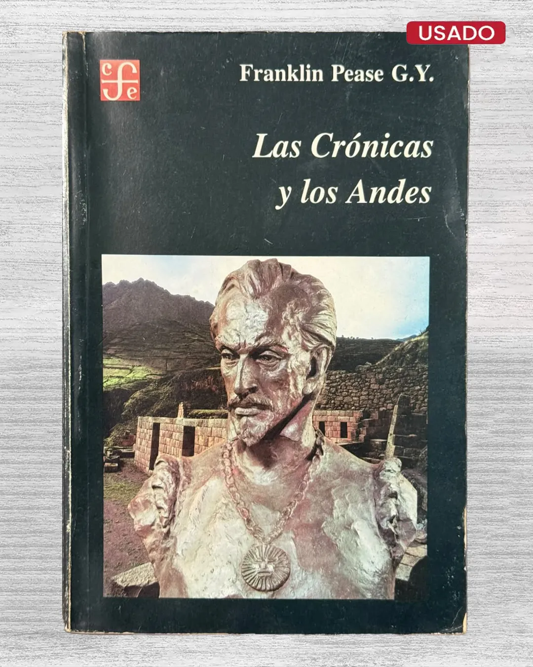 LAS CRÓNICAS Y LOS ANDES
