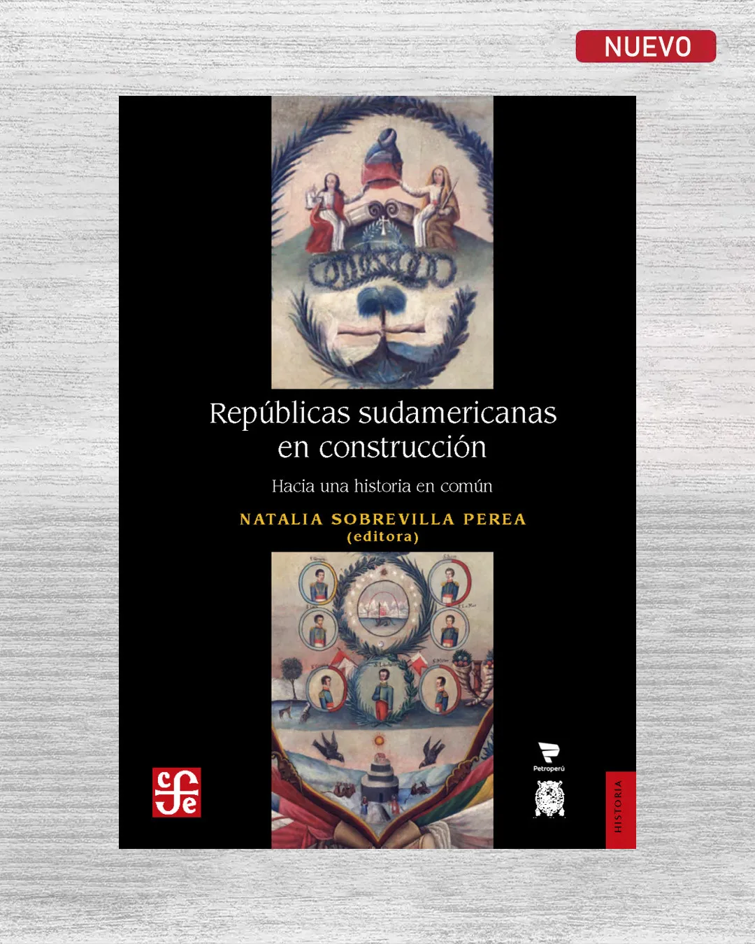 REPUBLICAS SUDAMERICANAS EN CONSTRUCCION. HACIA UNA HISTORIA EN COMUN