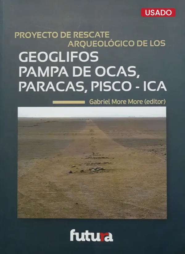 GEOGLIFOS PAMPA DE OCAS, PARACAS, PISCO - ICA
