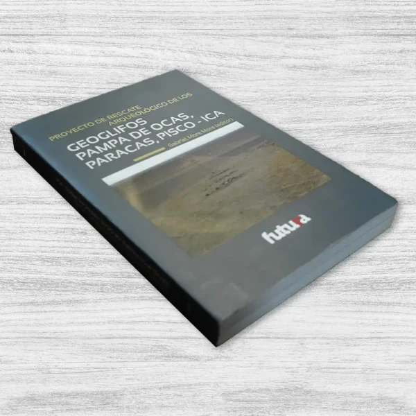GEOGLIFOS PAMPA DE OCAS, PARACAS, PISCO - ICA - Imagen 3