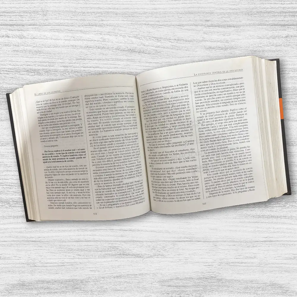 EL LIBRO DE LOS SECRETOS - Imagen 2