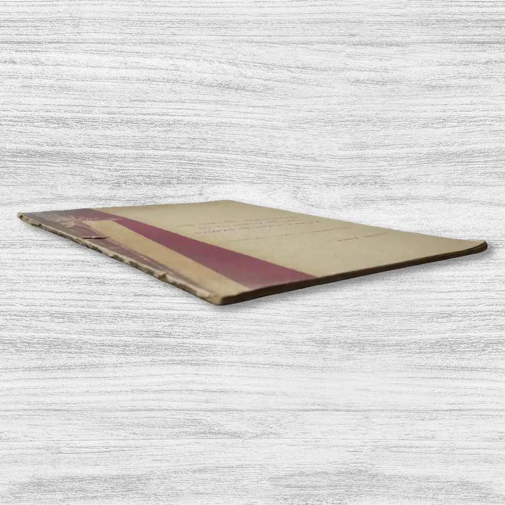 LOS DIBUJOS GIGANTESCOS EN EL SUELO DE LAS PAMPAS DE NAZCA Y PALPA: DESCRIPCIÓN Y ENSAYO DE INTERPRETACIÓN - Imagen 3