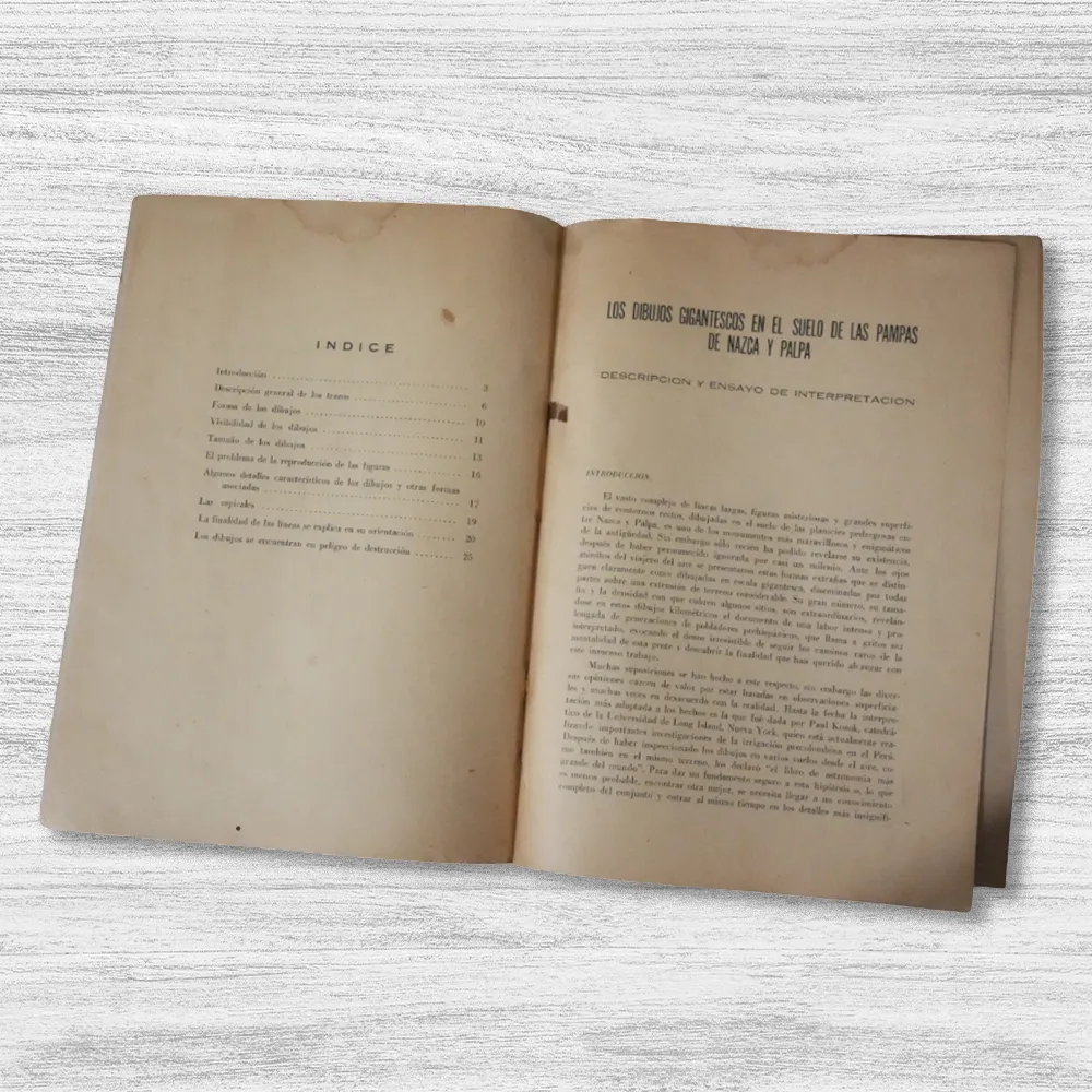 LOS DIBUJOS GIGANTESCOS EN EL SUELO DE LAS PAMPAS DE NAZCA Y PALPA: DESCRIPCIÓN Y ENSAYO DE INTERPRETACIÓN - Imagen 2