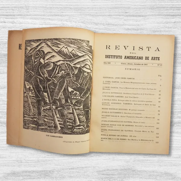 REVISTA DEL INSTITUTO AMERICANO DE ARTE Nº 12 - Imagen 2