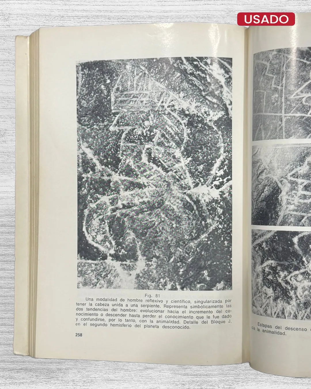 EL MENSAJE DE LAS PIEDRAS GRABADAS DE ICA - Imagen 3
