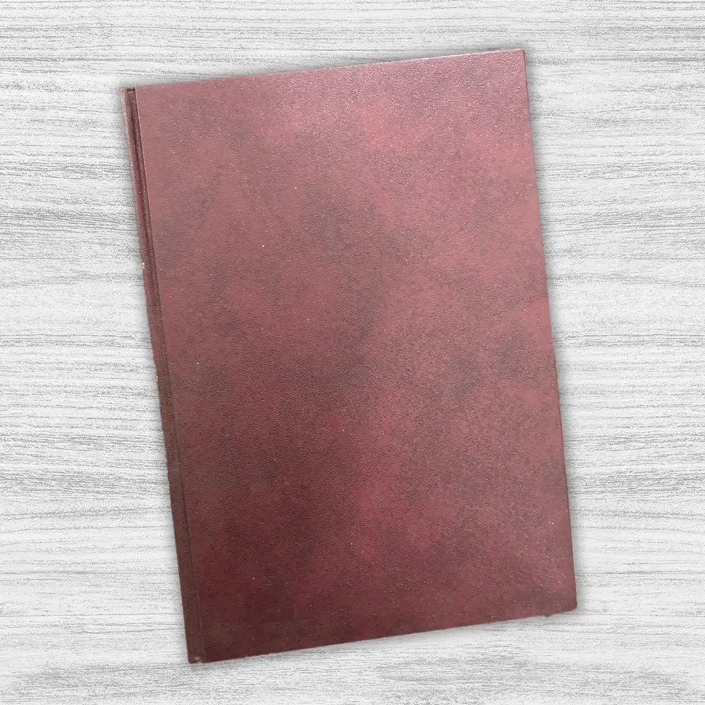 ALMANAQUE 1905 "LA PRENSA" AÑO I - Imagen 3