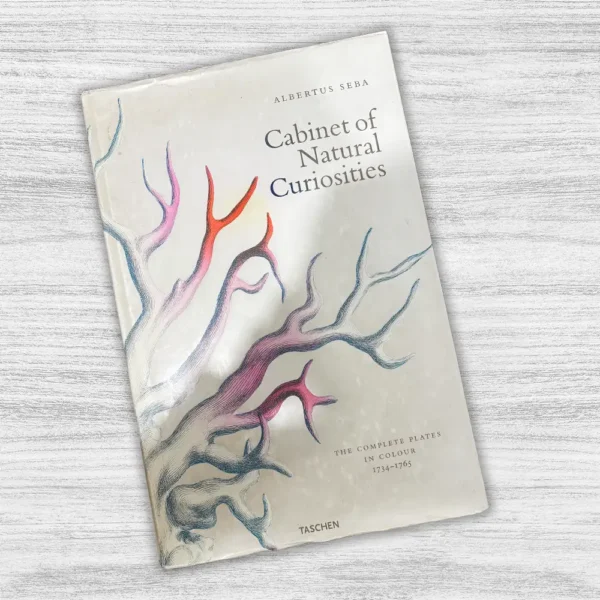 CABINET OF NATURAL CURIOSITIES - Imagen 7