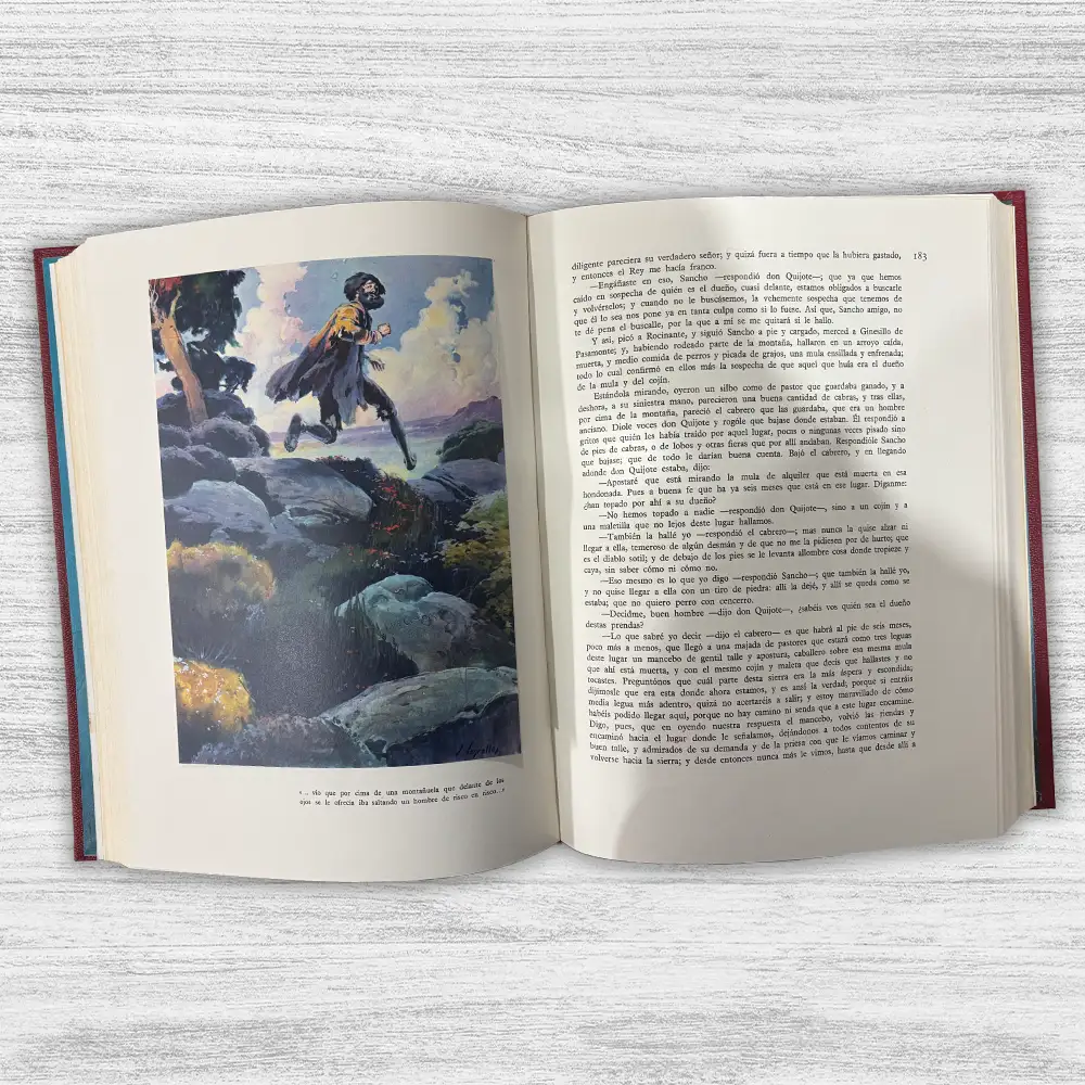 DON QUIJOTE DE LA MANCHA (2 TOMOS) - Imagen 2