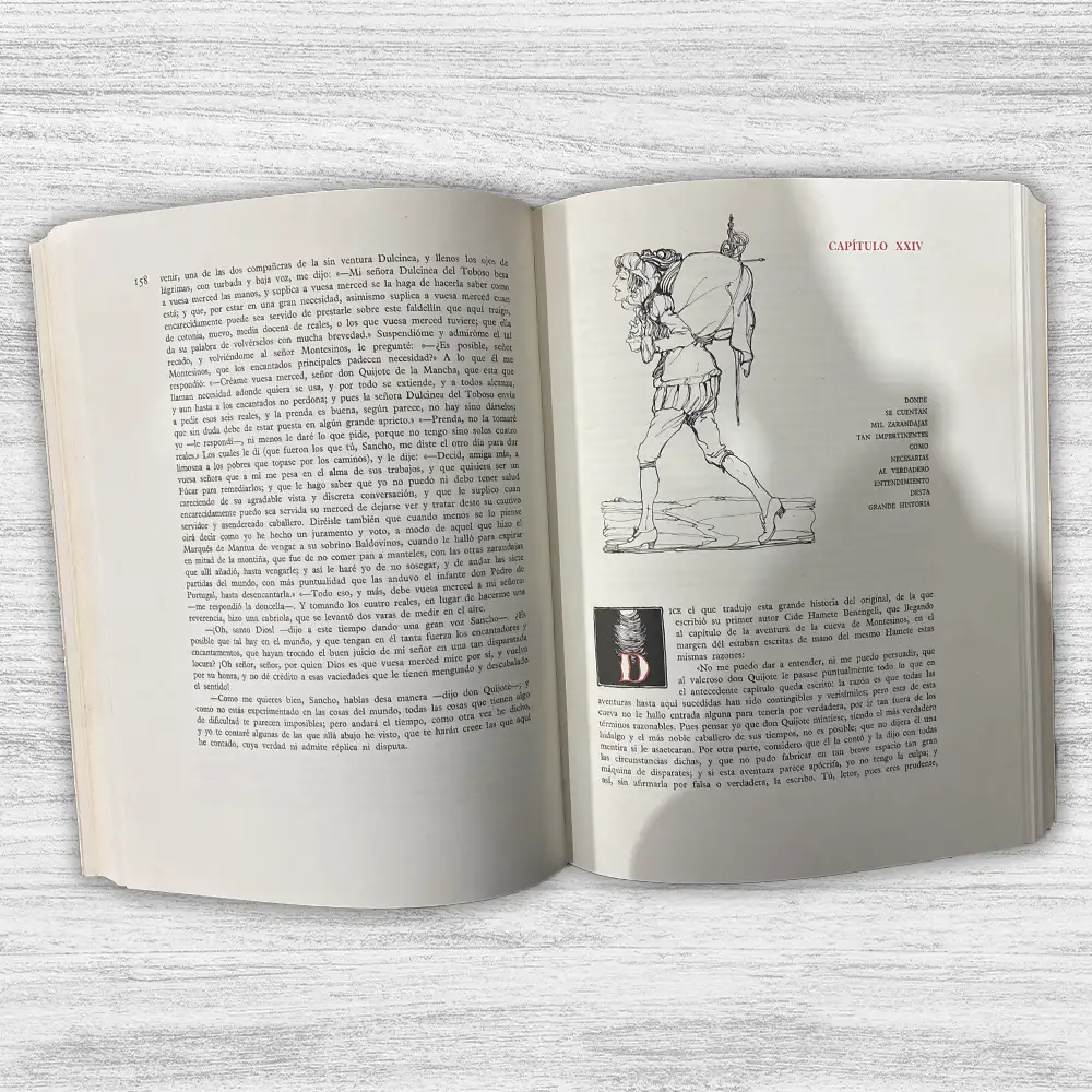 DON QUIJOTE DE LA MANCHA (2 TOMOS) - Imagen 5