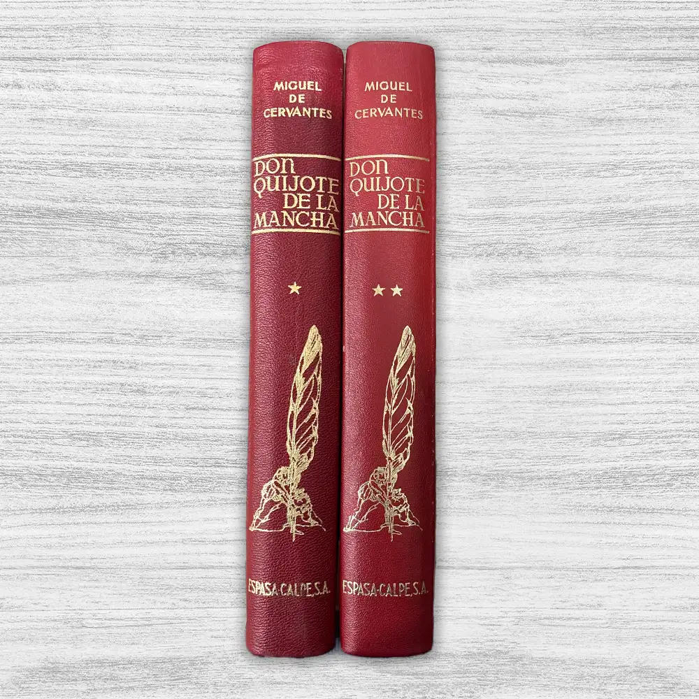 DON QUIJOTE DE LA MANCHA (2 TOMOS) - Imagen 7