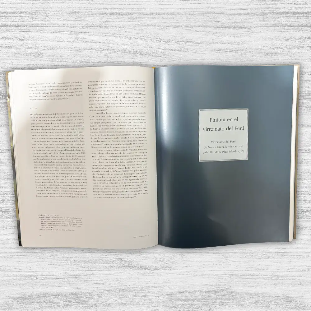 PINTURA EN HISPANOAMÉRICA (1550-1820) - Imagen 2