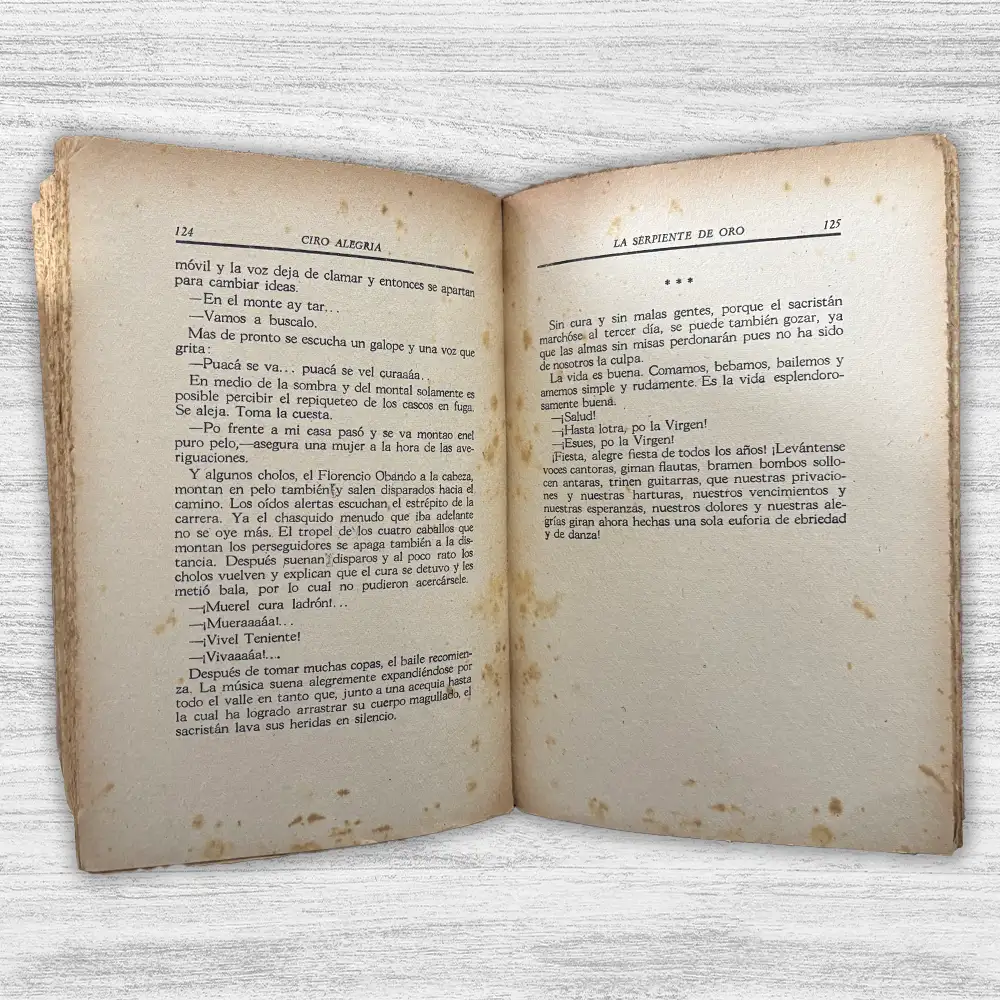 LA SERPIENTE DE ORO - Imagen 2