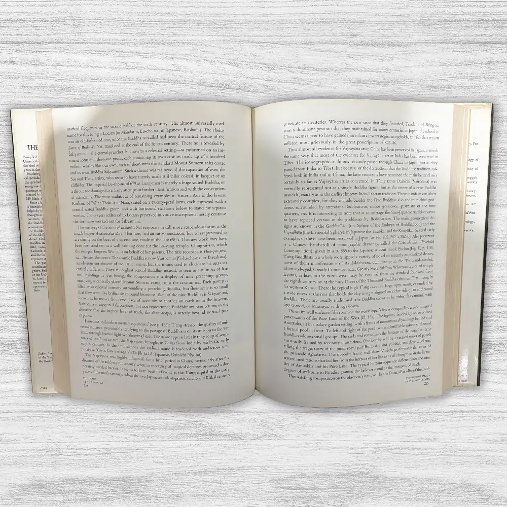 THE IMAGE OF THE BUDDHA - Imagen 2