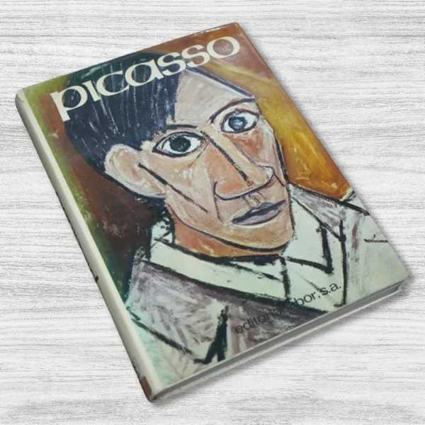 PICASSO - Imagen 3