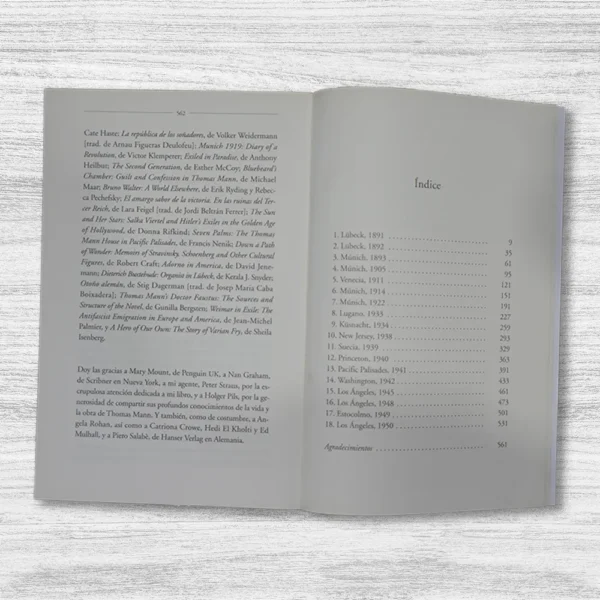EL MAGO: LA HISTORIA DE THOMAS MANN - Imagen 2