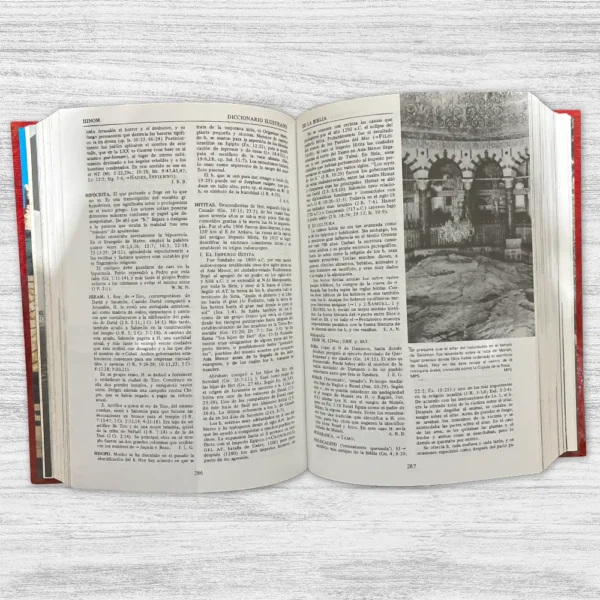 DICCIONARIO ILUSTRADO DE LA BIBLIA - Imagen 2