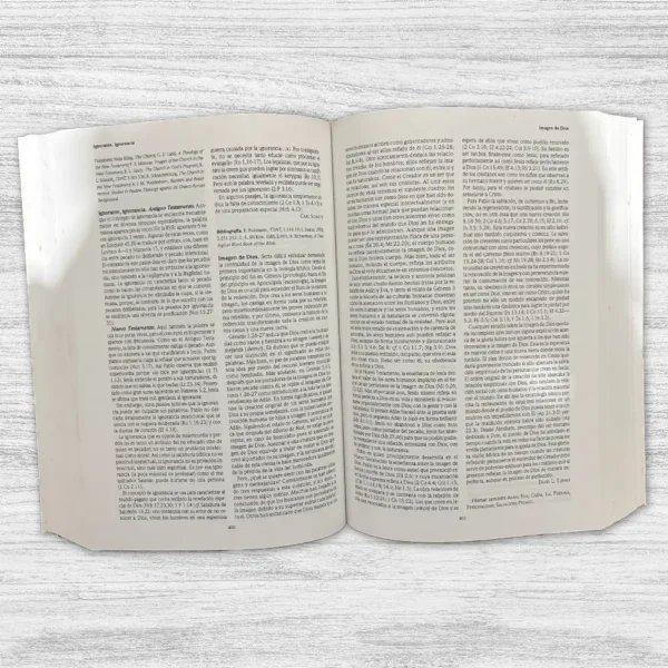 DICCIONARIO TEOLÓGICO DE LA BIBLIA - Imagen 2