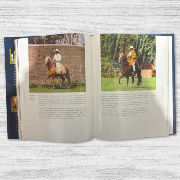 EL CABALLO PERUANO DE PASO - Imagen 2