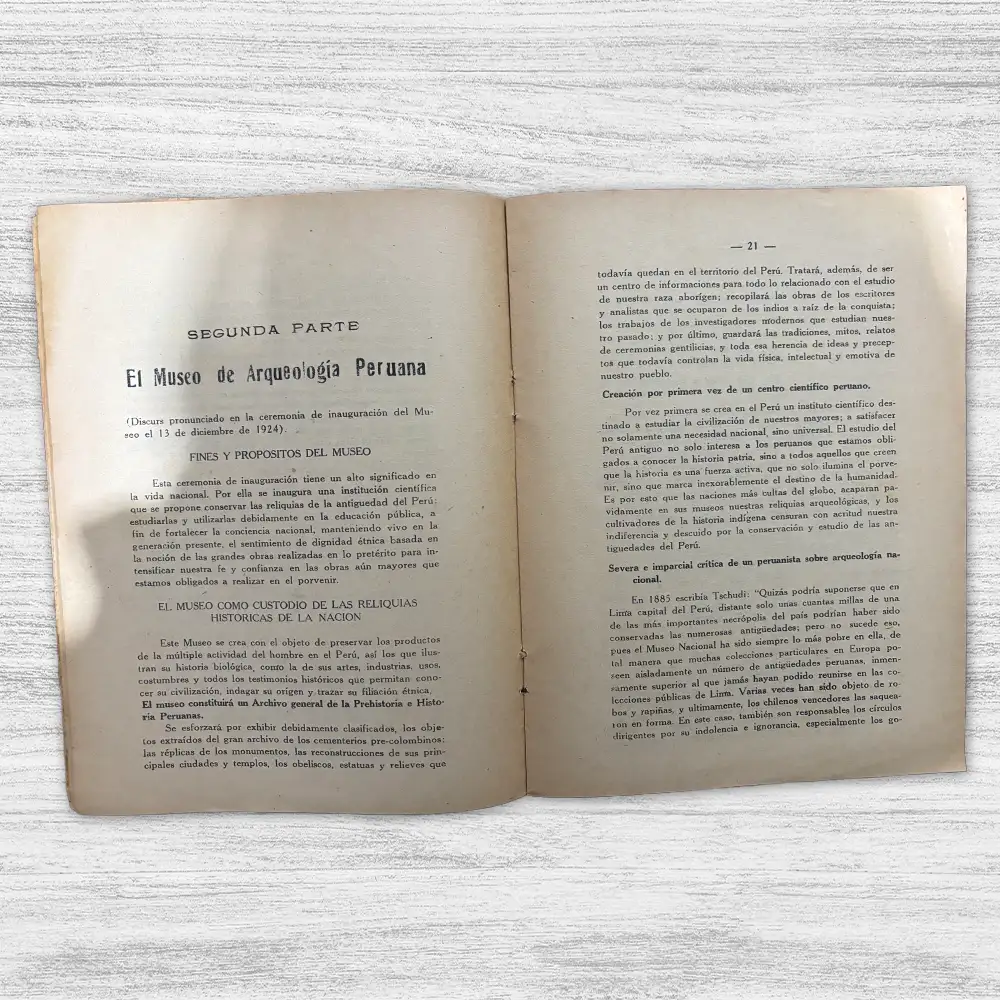 PRESENTE Y FUTURO DEL MUSEO NACIONAL - Imagen 2