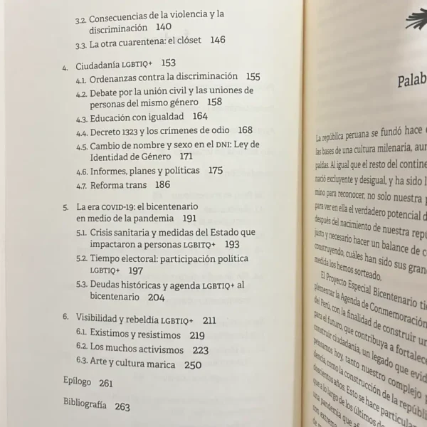 REPÚBLICA DE INVISIBLES - Imagen 3