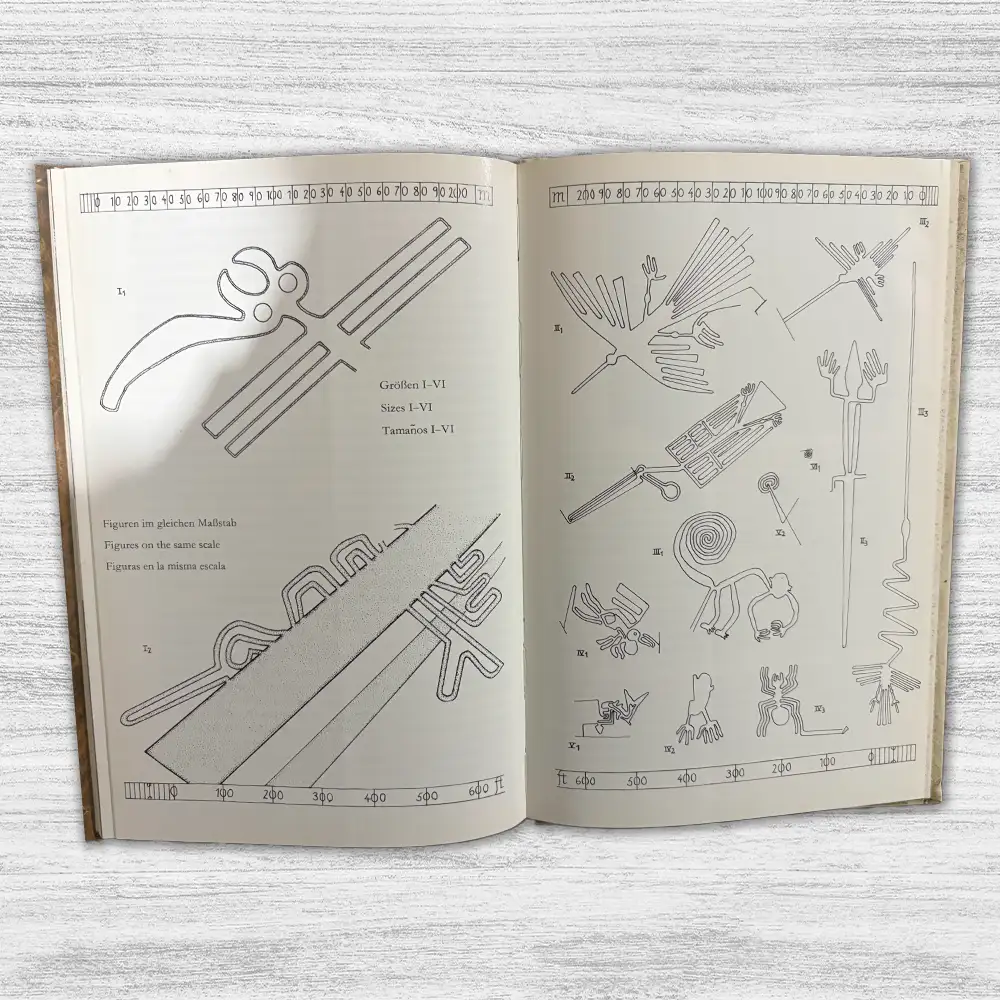 GEHEIMNIS DER WUSTE, MYSTERY ON THE DESERT, SECRETO DE LA PAMPA "FIRMADO" - Imagen 2