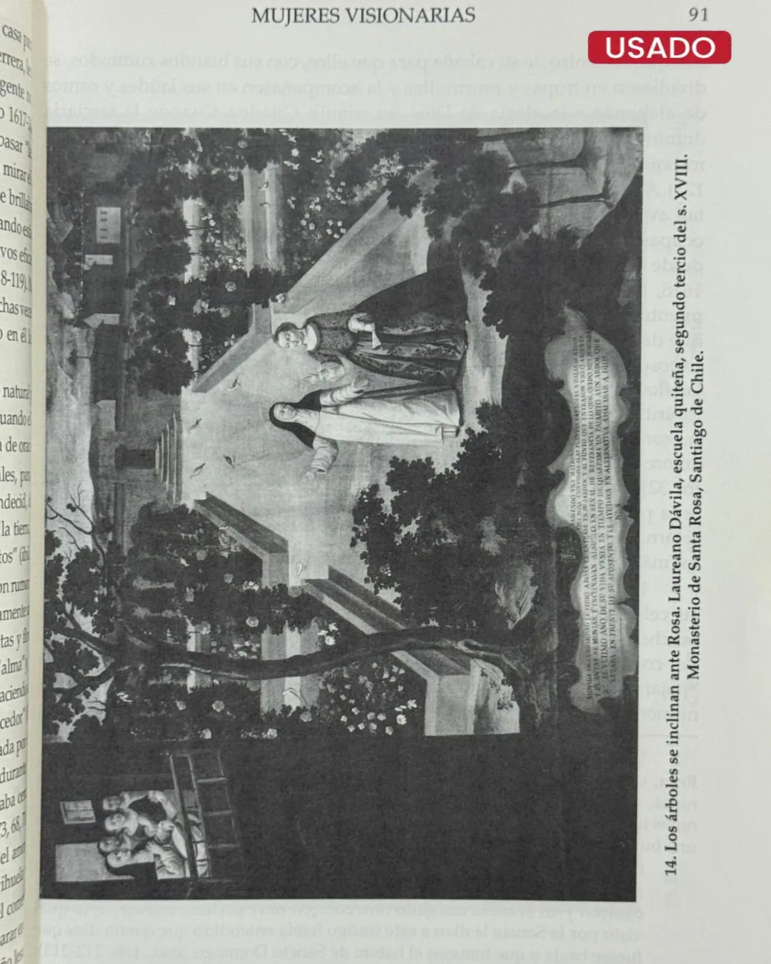 ROSA LIMENSIS - Imagen 3