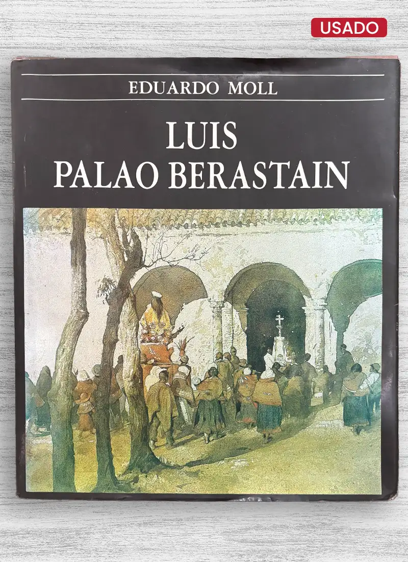 LUIS PALAO BERASTEAIN