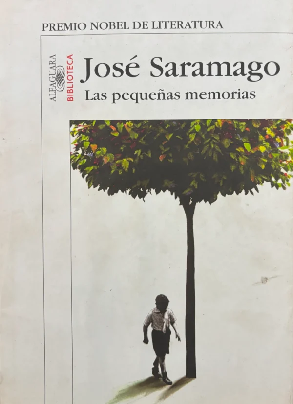 LAS PEQUEÑAS MEMORIAS