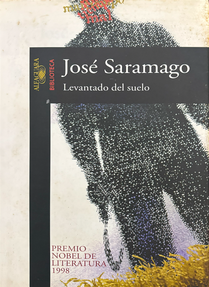 LEVANTADO DEL SUELO
