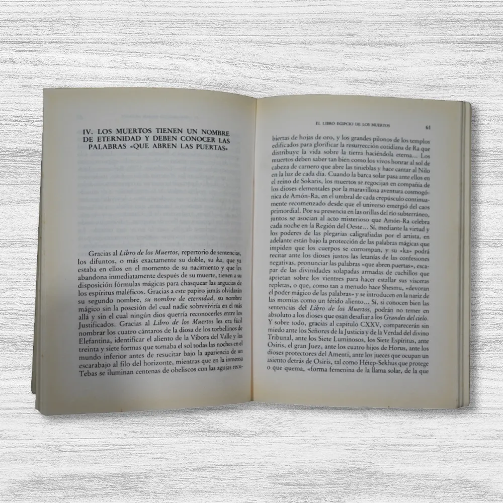 EL LIBRO EGIPCIO DE LOS MUERTOS - Imagen 2